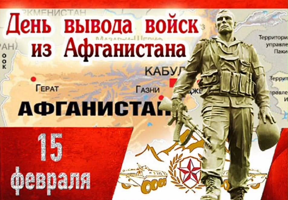 сонин mn