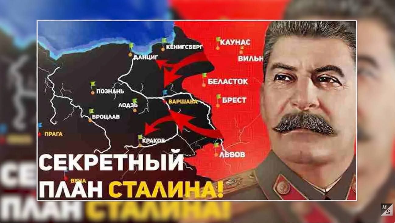 сонин mn